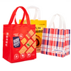 Non Woven Promotional Gift Bag