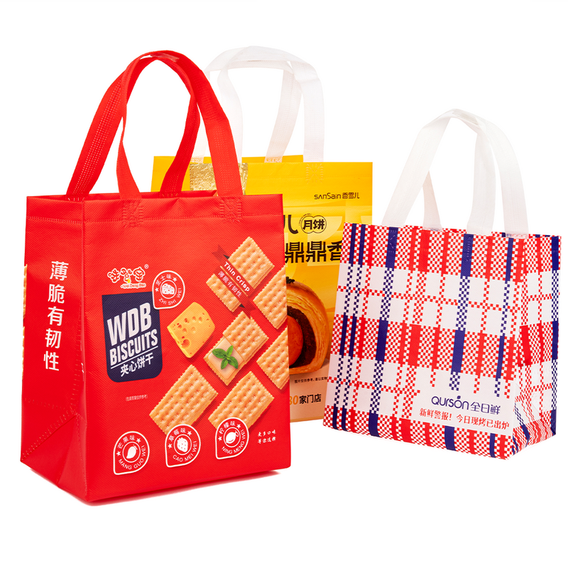 Non Woven Promotional Gift Bag