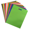 Flat Non Woven Bag