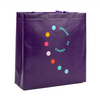 Non Woven Promotional Gift Bag
