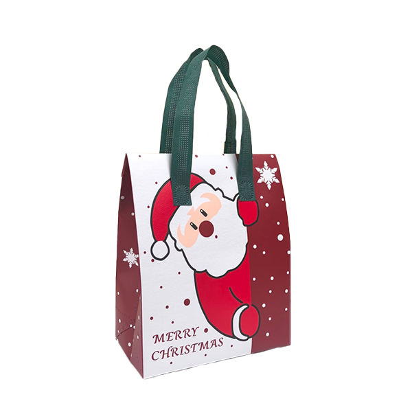Reusable Ultrasonic Non Woven Shopping Bags